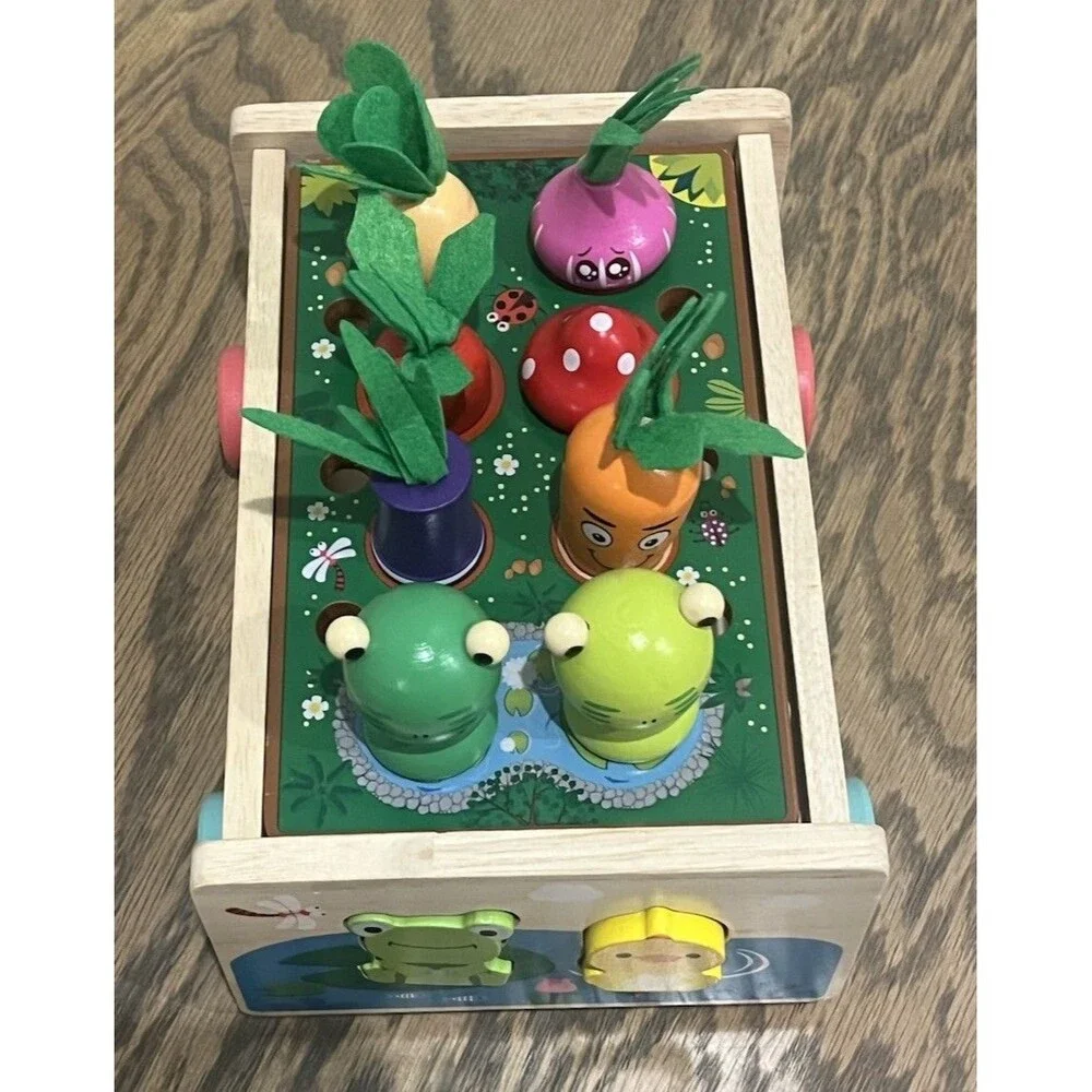 Toddler Montessori Wooden Farm Animal Shape Sorter Hand Eye Coordination